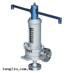 中(zhōng)國(guó)天正閥(fá)門有限(xiàn)公司彈簧脈衝式安全閥(fá)（A69Y）